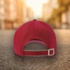 Czapka Acid Drinkers - Classic Street Series